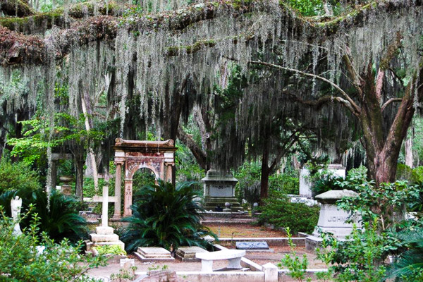 Fun things to do in Savannah : Bonaventure Cemetery in Savannah, GA. 