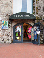 Blue Parrott in Savannah GA. 