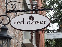 Red Clover in Savannah GA. 