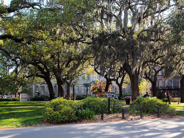 Fun things to do in Savannah : Oglethorpe Square in Savannah GA.