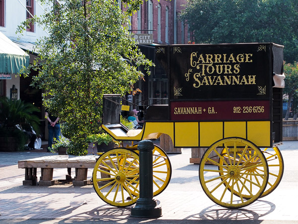 Carriage Tours of Savannah in Savannah GA. 