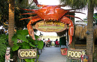 Fun things to do in Savannah : Crab Shack at Chimney Creek in Tybee Island GA. 